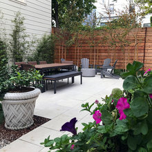 Pine Street Backyard