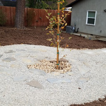 Backyard Altadena Re-design/Simple Clean-up