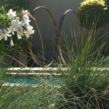 Jardin de village