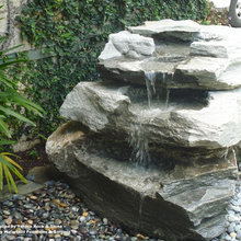 Landscape Ideas
