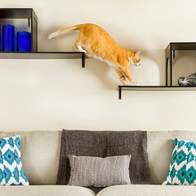 kitty spaces