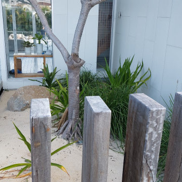 Relaxing Coastal Native Oasis.