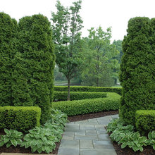 Garden ideas