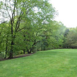 Overseeding - Products