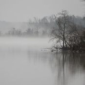 Michael Shilling's photo