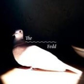 Jasun Feddema's photo