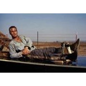 Andre Plante's photo