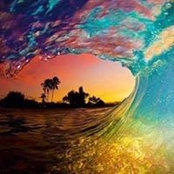Crystal Lindenbach's photo