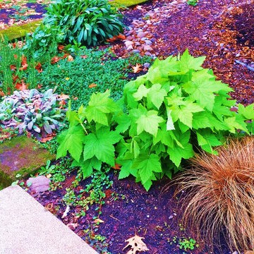 Woodstock Craftsman Cottage Rain Garden