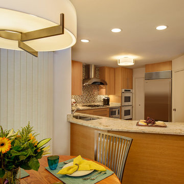 North Dallas Contemporary Kitchen Remodel