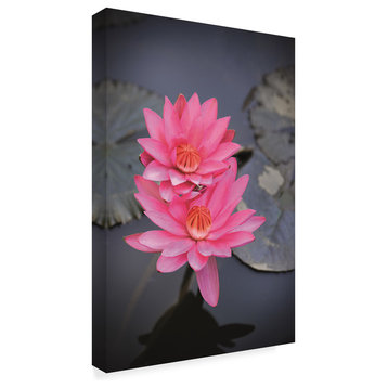 Christine Sainte-Laudy 'Double Pink Lotus' Canvas Art, 22"x32"