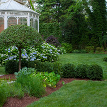 City Garden File
