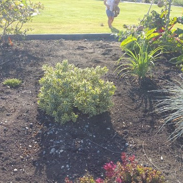 Edible Front Yard