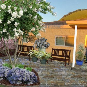 Foundation Plantings