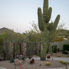 Front yard