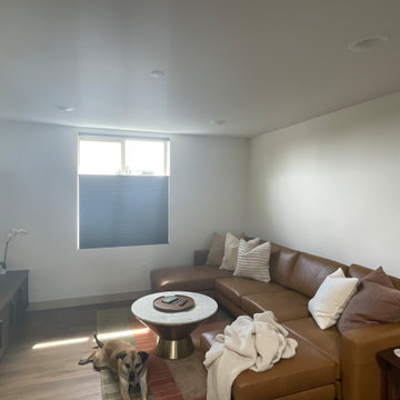 Pet-Friendly Window Coverings | Amazing Blinds by Armi