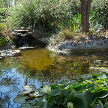 The Bancroft Gardens, Walnut Creek
