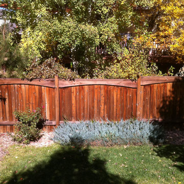 Exterior Paint - Ft. Collins