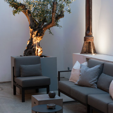 Potted Olive Tree in Enclosed Patio, Marvila