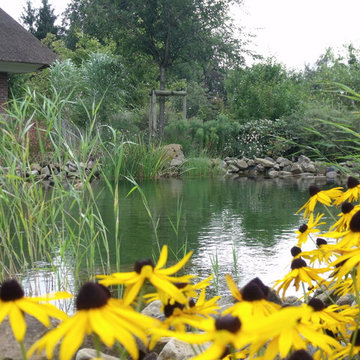 Schwimmteichlandschaften