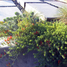 Patio Ideas