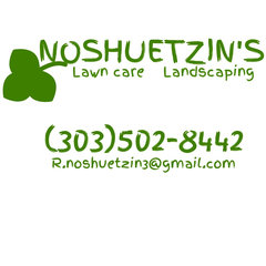 Noshuetzin's lawn care and landscaping