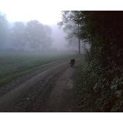 Karen Glanders's photo