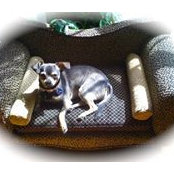 Lola Foxs foto