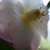 Foto von Jerry Kruse