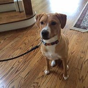 Susan Colclasure's photo