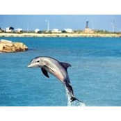 Cathy Zaiontz's photo