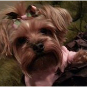 Alice Frey's photo