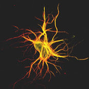 Siddhartha Mehta's photo