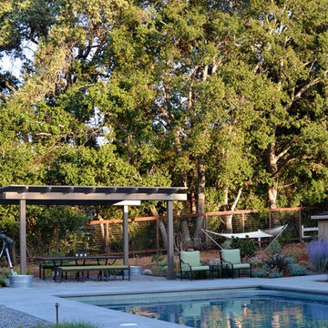 Los Altos Landscape Garden Design - Green Patio