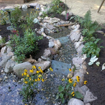 Back Yard Pond - Avon