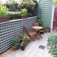 Back patio