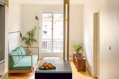 Design ideas for a contemporary living room in Paris.