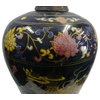 Chinese Black Color Doped Kirin Flower Porcelain Jar