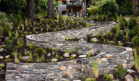 4 Ways US Designers Created Water Run-Off and Drainage With Style