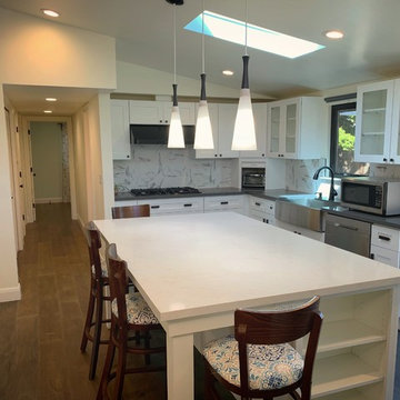 Kitchen Remodel/Renovation