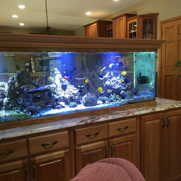 Fish Tank
