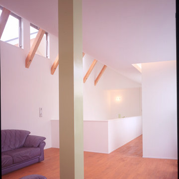 Y house