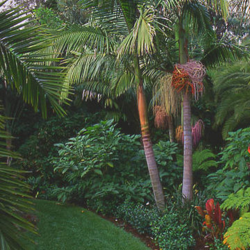 montecito restoration 7