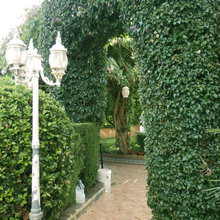 albun de mi jardín
