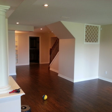 Basement Reno