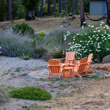 Resilient Landscapes with California native plants