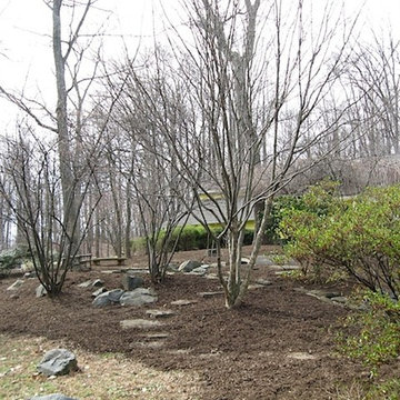 Our Work