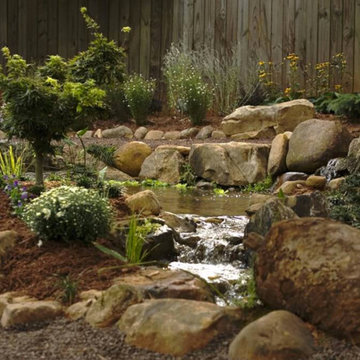 Ponds