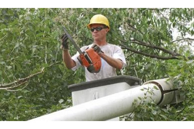 Utah Stump Grinders