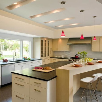 Contemporary Kitchen Cabinets Design Remodel